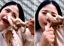 Đòi ăn sống bạch tuộc, nữ vlogger suýt bị "nó" xơi tái lại