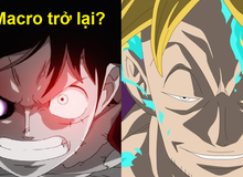 One Piece: Mặc dù đã từ chối đến Wano nhưng Marco sẽ giúp Luffy lật đổ Tứ Hoàng chứ?