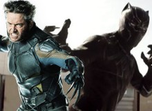 Vibranium VS. Adamantium: Đâu là hợp kim bá đạo nhất vũ trụ siêu anh hùng Marvel?