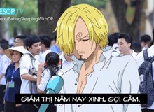 "Cười bể bụng" trước màn phỏng vấn dạo các nhân vật One Piece sau kỳ thi THPT Quốc gia 2019