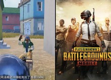 Jordan ban hành điều luật cấm tuyệt đối PUBG, sắp tới là Fortnite