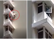 Bị bố mẹ tịch thu điện thoại chơi game, cậu bé dỗi dọa tự tử, suýt nữa thì "tử" thật