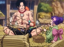 One Piece tập 894: Ace vẫn chưa tham gia băng hải tặc Râu Trắng trước khi tới Wano quốc