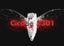 Cicada 3301: Câu đố đầy bí ẩn của Internet hiện đại