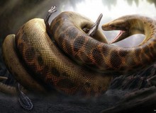 Trăn khổng lồ Titanoboa: Con quái vật có thể nuốt chửng cả khủng long