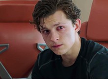 "Đại gia" đánh nhau Tom Holland ngồi không "mất việc", khán giả điên cuồng kêu gào đòi cứu Người Nhọ!