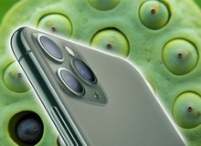 Hội chứng "sợ lỗ" nghiêm trọng tới mức nào mà camera mới của iPhone 11 khiến nhiều người giật mình đến thế