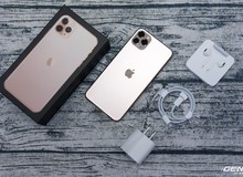 iPhone 11 Pro Max về Việt Nam trước ngày Apple mở bán