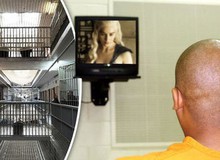 Quyết vào tù để được xem truyền hình miễn phí, tên trộm cố tình lưu lại dấu vết vì muốn cảnh sát tới bắt