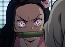 Anime Kimetsu no Yaiba tập 22: Đừng vội trách các Trụ cột, việc muốn giết Nezuko đều có lý do cả!