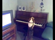 Xem chú chó vừa đàn vừa hát