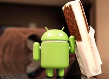 Gần 5% thiết bị Android đang chạy Ice Cream Sandwich 