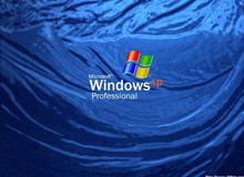 Dù bị khai tử, Windows XP nhất quyết không chịu biến mất