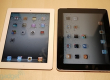 Nvidia GTX 590 lộ diện, iPad 2 chính thức được bán ra tại Mỹ