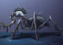 Điểm mặt các siêu Carry mới hot nhất hiện nay