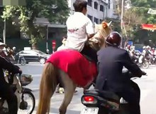 Xăng tăng giá, game thủ chuyển qua đi… ngựa