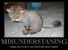 "Bi kịch" ông nói gà, bà nói vịt