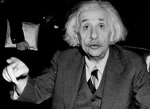 Bộ não của thiên tài Einstein được trưng bày tại triển lãm