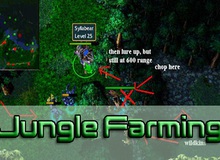 Một số thông tin và kinh nghiệm về farm rừng trong DotA