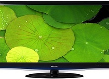 TV nào hợp với gia đình của bạn?