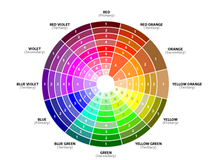 Colors Finder - Phân tích mã màu từ ảnh thật đơn giản