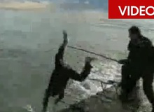 Những trò nghịch dại quái ác