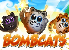 Bombcats- Game Casual trên mobile kén người chơi