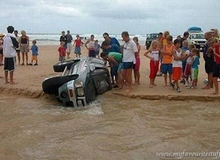 Cười nghiêng ngả với những hình ảnh ngộ nghĩnh trên bãi biển