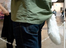 Khi người có đuôi?