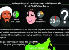 [Infographic] Thực trạng lừa đảo trực tuyến mùa hè 2011