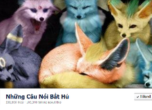 Top các fanpage phi lợi nhuận có tầm ảnh hưởng nhất Facebook Việt năm 2011