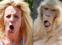 Khi những người nổi tiếng giống... động vật (Phần 1)