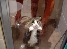 Tuyển tập những hình ảnh gây cười nhất trong tháng 10 (Phần 1)