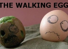 Tuyển tập những hình ảnh gây cười nhất trong tháng 12 (Phần 4)