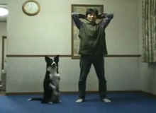 [Video] Chú chó biết tập thể dục cùng chủ