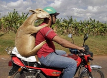 Chỉ có thể là... Nam Phi