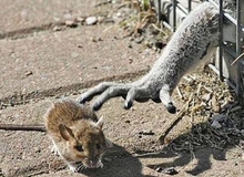 Những pha thoát chết trong gang tấc