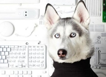 Tuyển tập những hình ảnh gây cười nhất trong tháng 1 (Phần 3)