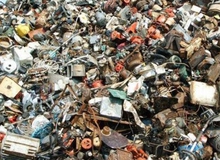 Đố vui: Tìm chú mèo giữa đống rác khổng lồ