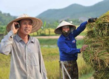 Người tiêu dùng lúng túng trước quá nhiều gói cước điện thoại