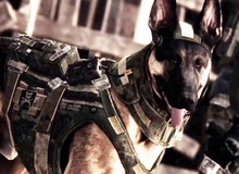 Call of Duty Ghosts: Thần tượng Modern Warfare hóa thân thành... chó