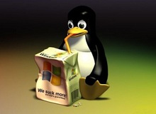 Bật mí bí mật mối tình Linux - Microsoft
