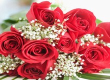 Bó hoa siêu độc giúp bạn chinh phục mục tiêu cực nhanh và hiệu quả