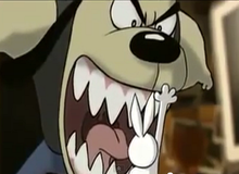 Hết Kung Fu Panda - Xuất hiện Kung Fu Bunny cực đáng yêu