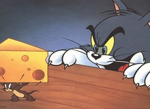 Khi Tom & Jerry xuất hiện trong đời thực hay chân dung chú chuột dũng cảm nhất hành tinh