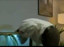 Tuyệt chiêu giúp xin việc thành công 100%