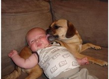 Ngộ nghĩnh các bé và thú cưng