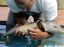 Động vật lúc còn nhỏ cực đáng yêu