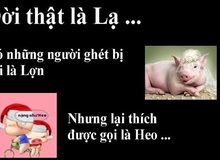 Sự kỳ lạ tột độ của loài người
