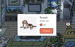 Món quà "cắt hành" vô giá từ Adorable Home: Chú chó đã mất ngoài đời bỗng hiện về trong game tìm đúng chủ cũ